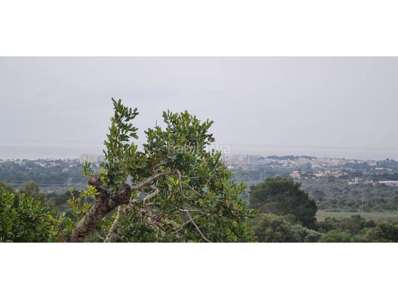 Foto 1a9b94b1-5b61-4a1d-9e0e-bdb4cfe1f80e. Bauernhof in 4 608 in Sant Llorenç des Cardassar