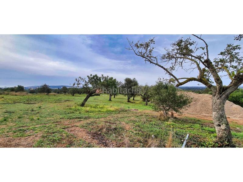 Foto 21ec768c-c622-4baf-b8c1-f5c84e1765a4. Bauernhof in 4 608 in Sant Llorenç des Cardassar