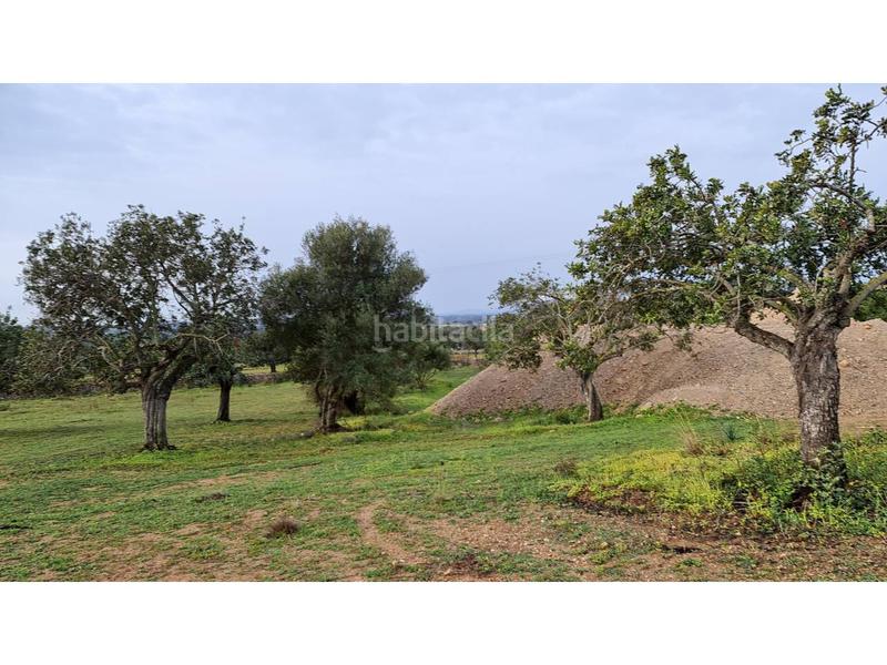 Foto 338ac1e0-9a88-48df-ab1f-e229c98dab6c. Bauernhof in 4 608 in Sant Llorenç des Cardassar