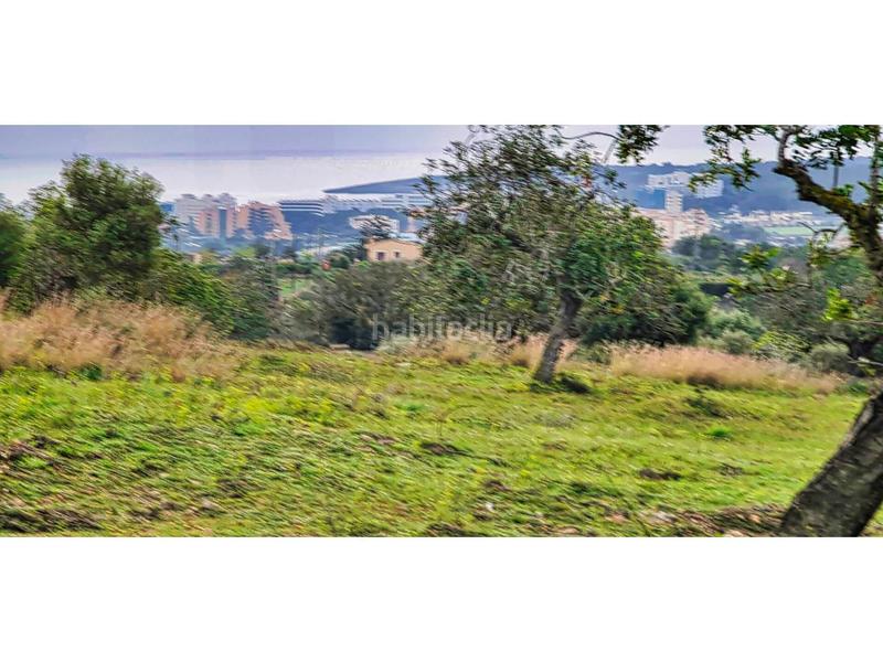 Foto 4f7e9a74-44b2-4728-8f4e-03eff61a975b. Bauernhof in 4 608 in Sant Llorenç des Cardassar