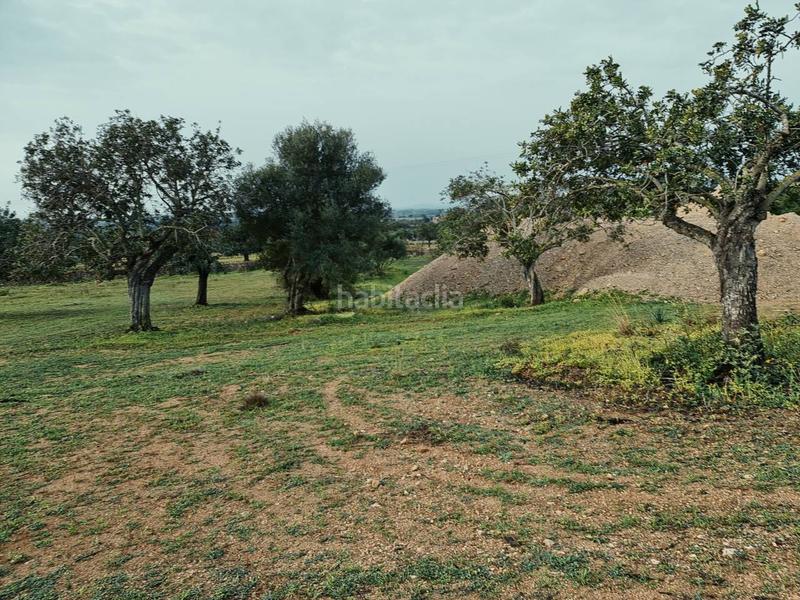 Foto 53862c14-033c-484a-aeed-9cbf93b6b103. Bauernhof in 4 608 in Sant Llorenç des Cardassar