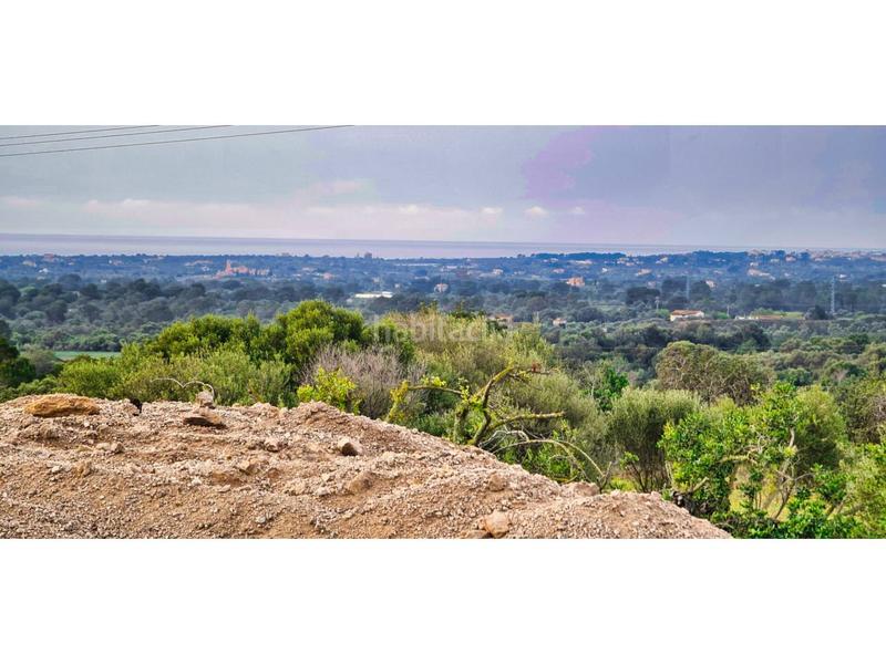 Foto 730c0364-ecf1-47ca-acc9-5bcdbf077fea. Bauernhof in 4 608 in Sant Llorenç des Cardassar