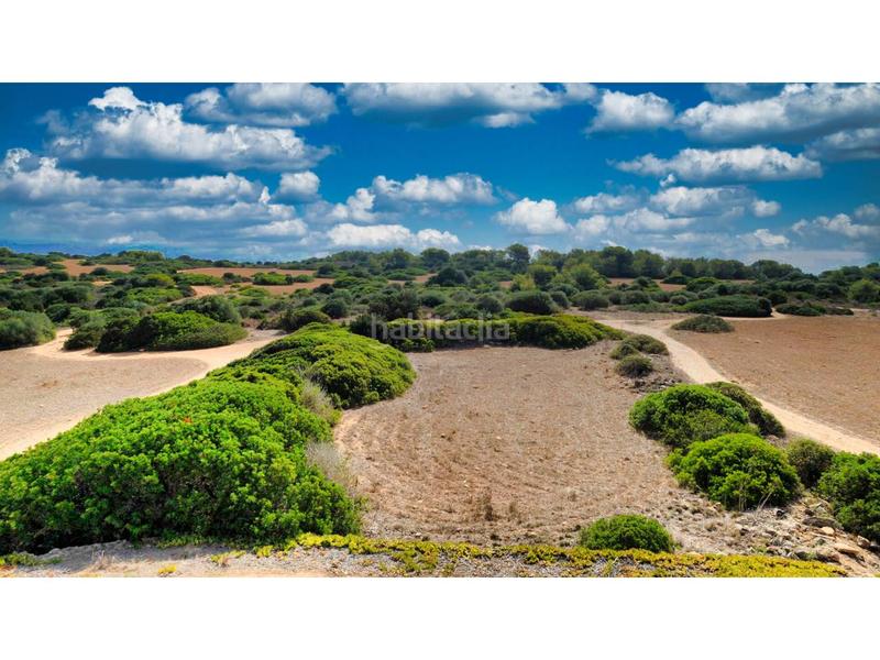 Foto 837a5e4c-24d4-4046-8f73-207817d8ae3f. Bauernhof in 4 608 in Sant Llorenç des Cardassar