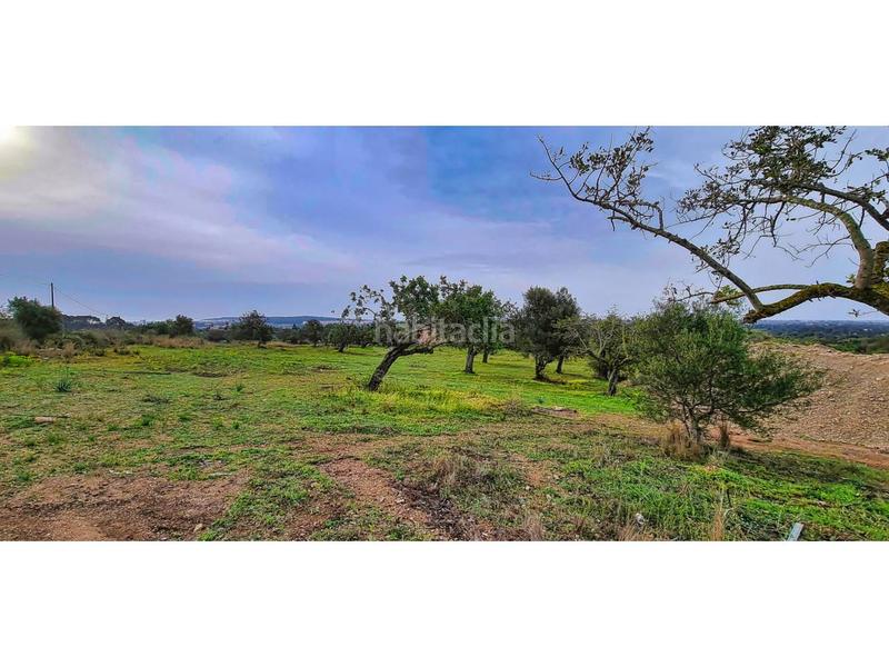 Foto 8b7cbe20-bae7-4d49-813d-5af3653f76b8. Bauernhof in 4 608 in Sant Llorenç des Cardassar