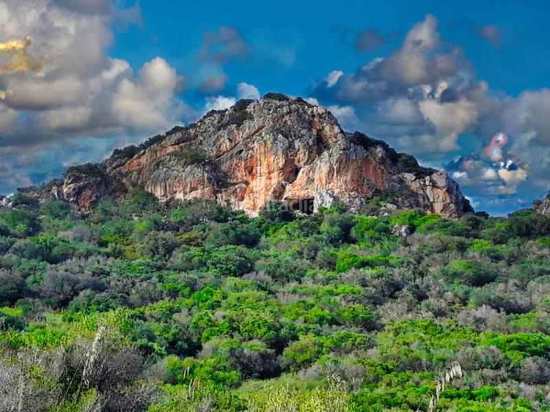 Foto 94a37b36-3926-42f6-b45a-2a4c32a769d6. Bauernhof in 4 608 in Sant Llorenç des Cardassar