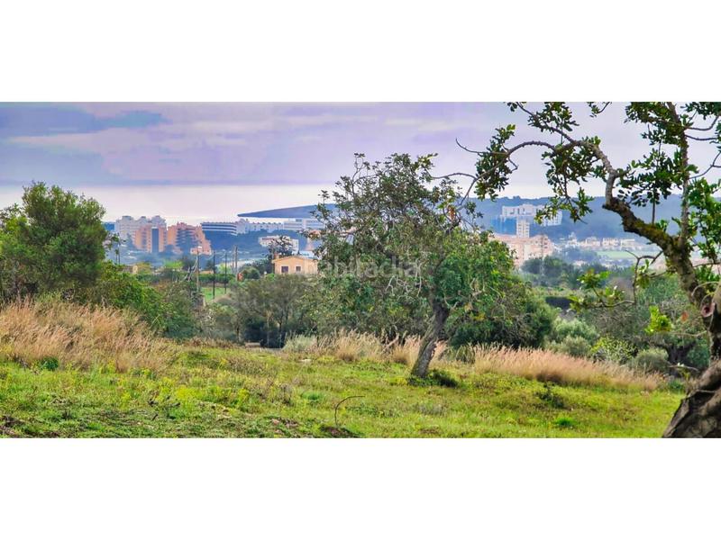 Foto 9d0f8da6-38c6-4a9a-9fec-a0c22e3b7f7b. Bauernhof in 4 608 in Sant Llorenç des Cardassar