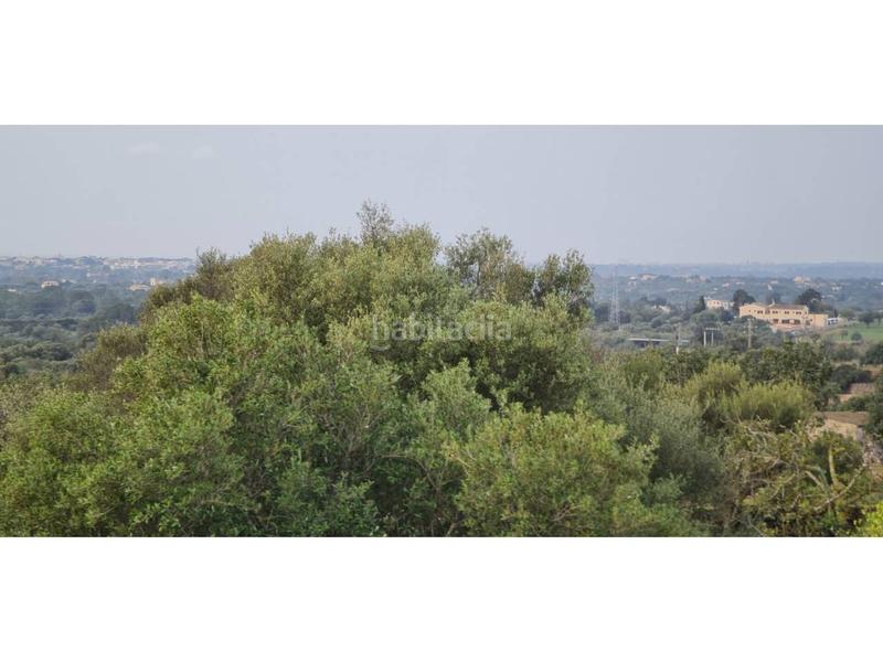 Foto a2621ac6-f5cf-4f8c-bb73-edc6f38b9f47. Bauernhof in 4 608 in Sant Llorenç des Cardassar