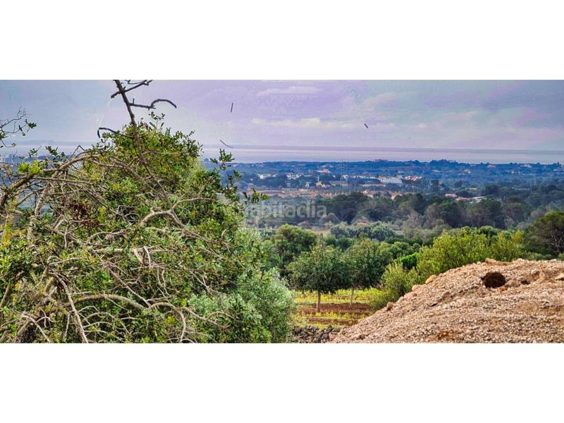 Foto ae8104f2-fa41-4e87-a3af-02fc79b0aa7c. Bauernhof in 4 608 in Sant Llorenç des Cardassar