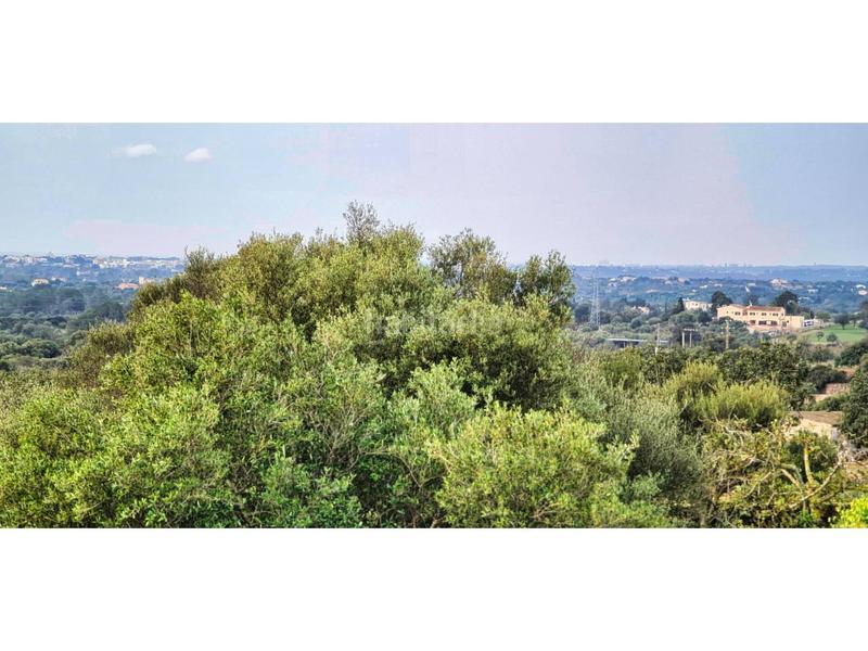 Foto ca86801b-b6ce-492b-8b85-b64526db5da4. Bauernhof in 4 608 in Sant Llorenç des Cardassar