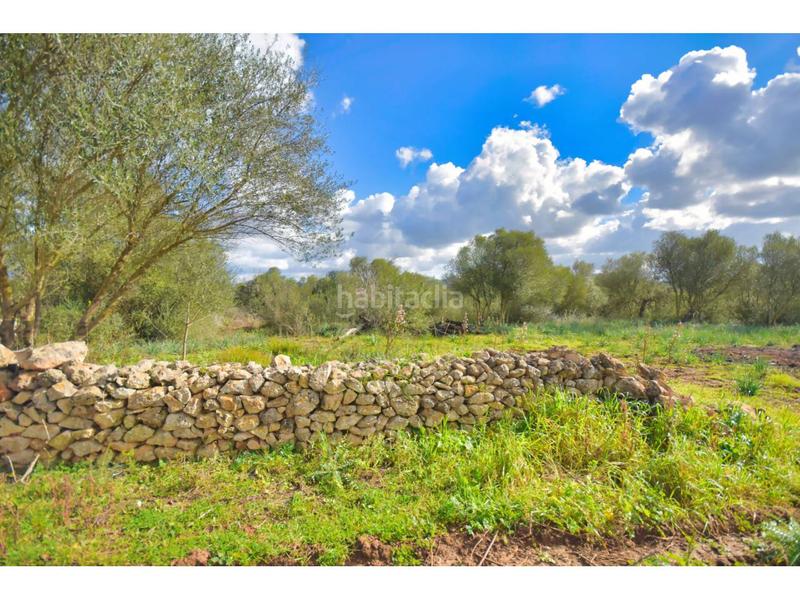 Foto 2e106234-e242-46a5-9935-5943243eb2b1. Terreny residencial a 10 47 a Santa Margalida poble Santa Margalida