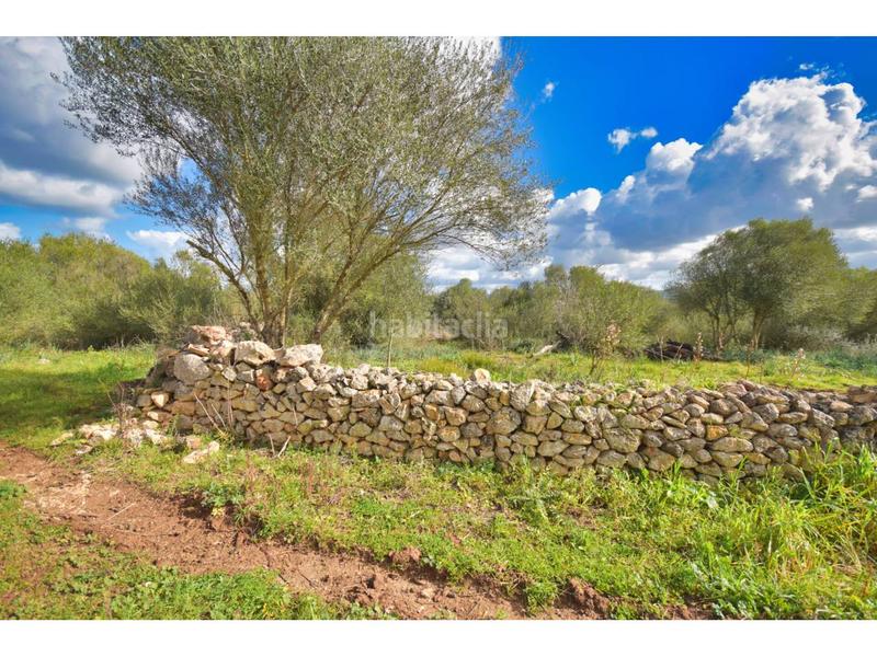 Foto 4b7e5601-531d-4994-a9f1-8f06987a3e7a. Terreny residencial a 10 47 a Santa Margalida poble Santa Margalida