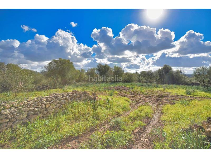 Foto 517c82e6-298b-4ded-9931-c108fa6e147c. Terreny residencial a 10 47 a Santa Margalida poble Santa Margalida