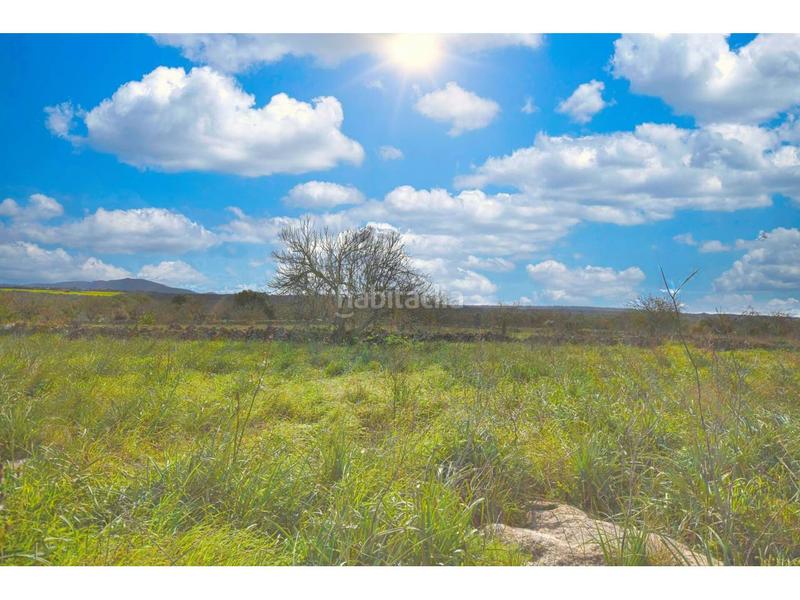 Foto 54fe0488-f515-4b2b-8a2b-1b8cae77f7f4. Terreny residencial a 10 47 a Santa Margalida poble Santa Margalida