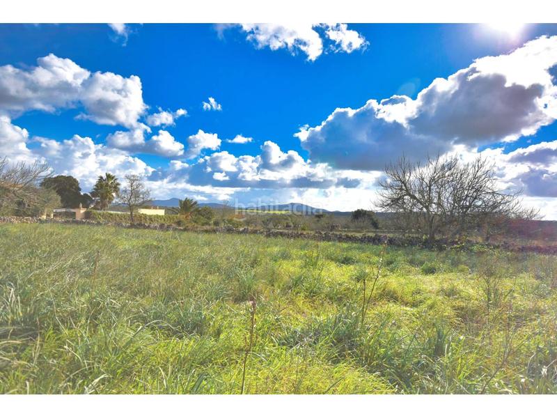 Foto 83ac9cf4-26a6-476b-b5e7-e08ffd34af09. Terreny residencial a 10 47 a Santa Margalida poble Santa Margalida