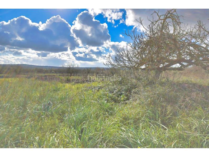 Foto a406e3f3-c4ca-4161-a560-d50438735d70. Terreny residencial a 10 47 a Santa Margalida poble Santa Margalida