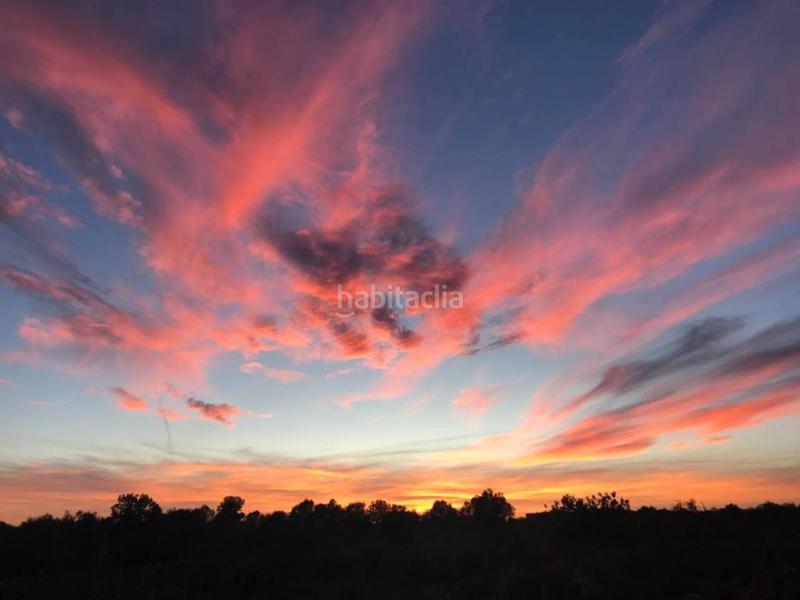 Foto b6df8c40-f66c-4721-b583-5bbc8d984f6e. Terreny residencial a 10 47 a Santa Margalida poble Santa Margalida