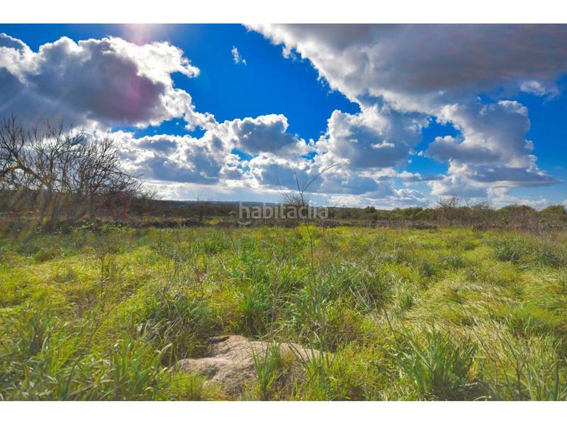 Foto cb68a299-fcd4-486e-b23b-0bc88e80b5ff. Terreny residencial a 10 47 a Santa Margalida poble Santa Margalida