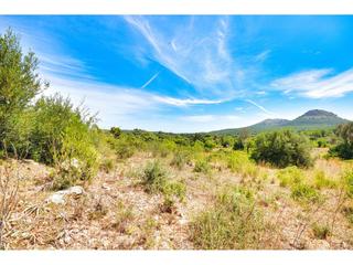 Finca rústica a 6 264. Finca rustica de 2 parcelas  en venta en cala mesquida