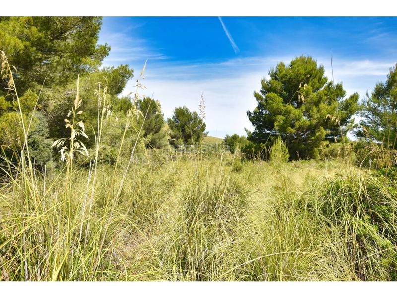 Foto b576a995-7ba1-4ee9-81e7-58aea61f033d. Finca rústica a 6 264 a Capdepera poble Capdepera