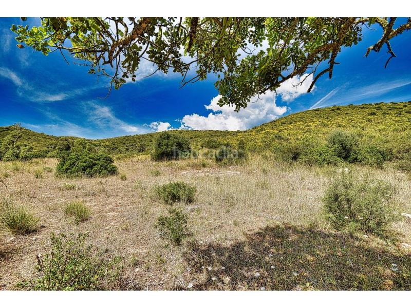 Foto d9238ef9-1c8f-4556-a65f-687efb0554c7. Finca rústica a 6 264 a Capdepera poble Capdepera