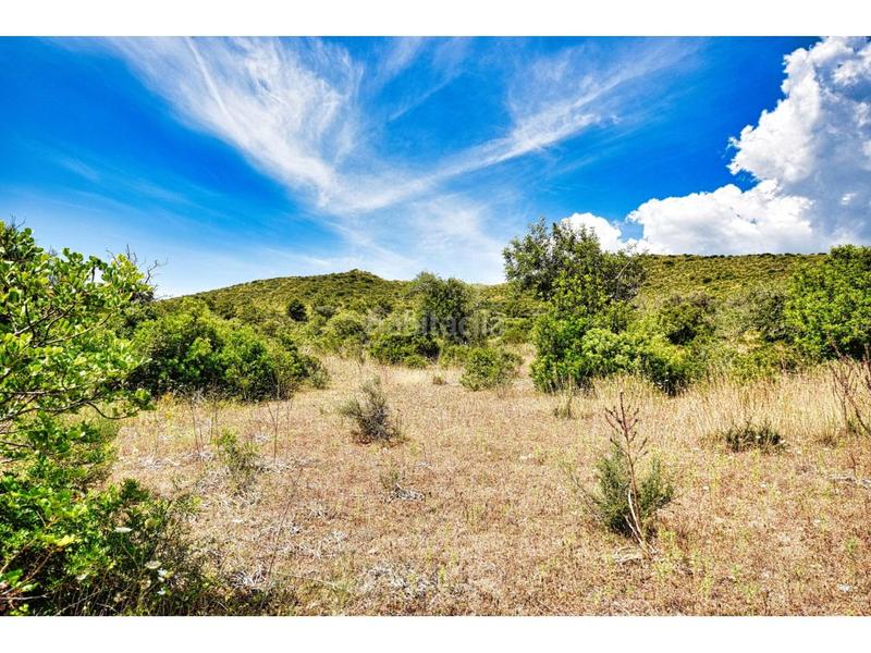 Foto eeade0fc-701e-466c-9761-52d19b65fce3. Finca rústica a 6 264 a Capdepera poble Capdepera
