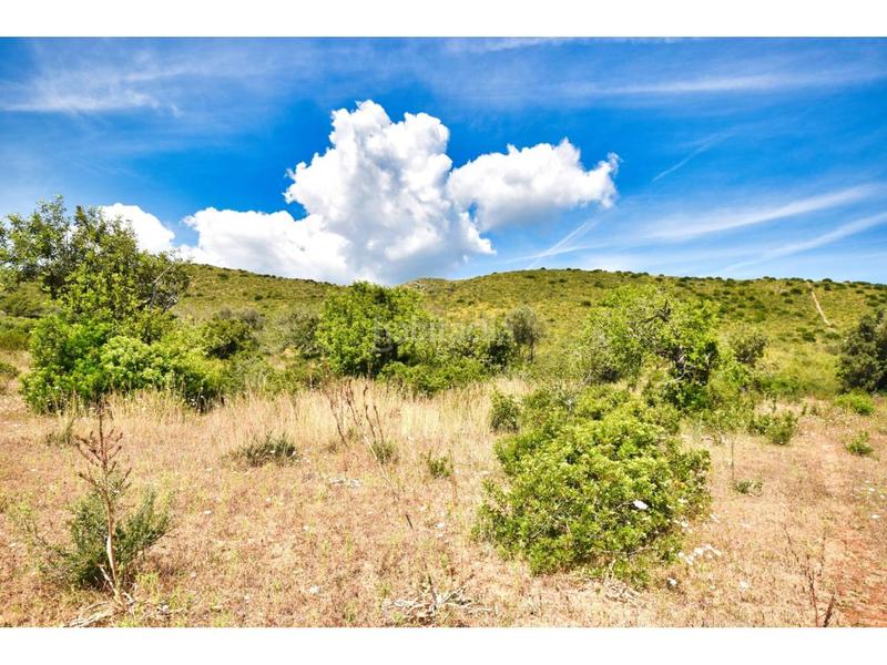 Foto f56691fa-36e9-485a-a89d-7c2dcecfd819. Finca rústica a 6 264 a Capdepera poble Capdepera