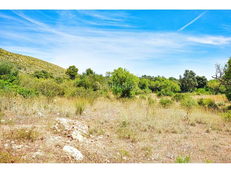 Foto f5811172-b1bc-44e9-95b9-4d10137f6a88. Finca rústica a 6 264 a Capdepera poble Capdepera
