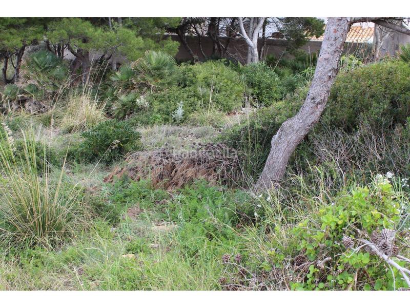 Foto d8601c92-ae80-447d-9298-a9984f2dad59. Terreny residencial a garbellons 10 a Cala Ratjada Capdepera