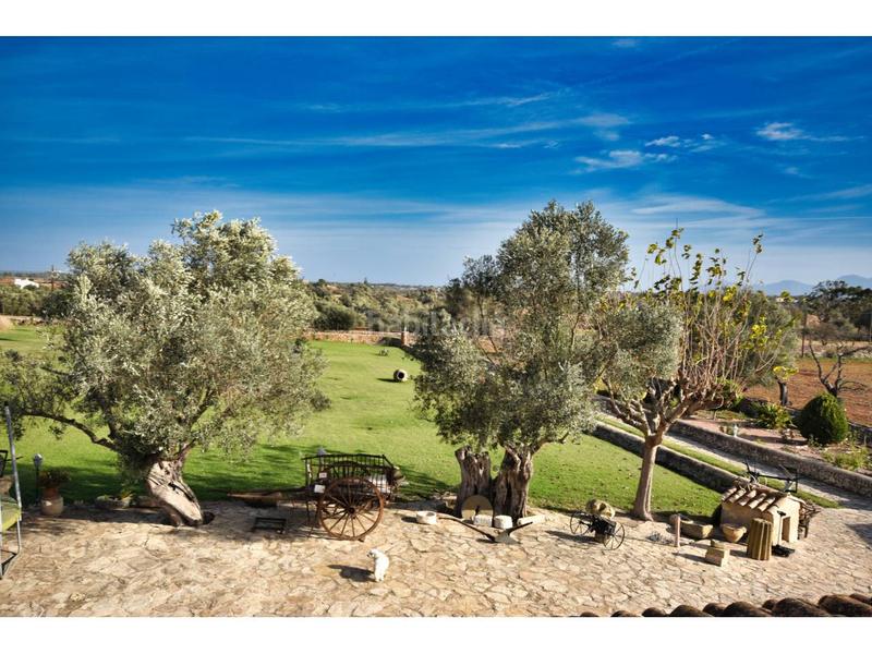 Foto 1b051208-6351-498c-be1f-6b1538080c20. Masia a 13 60 a Can Picafort Santa Margalida