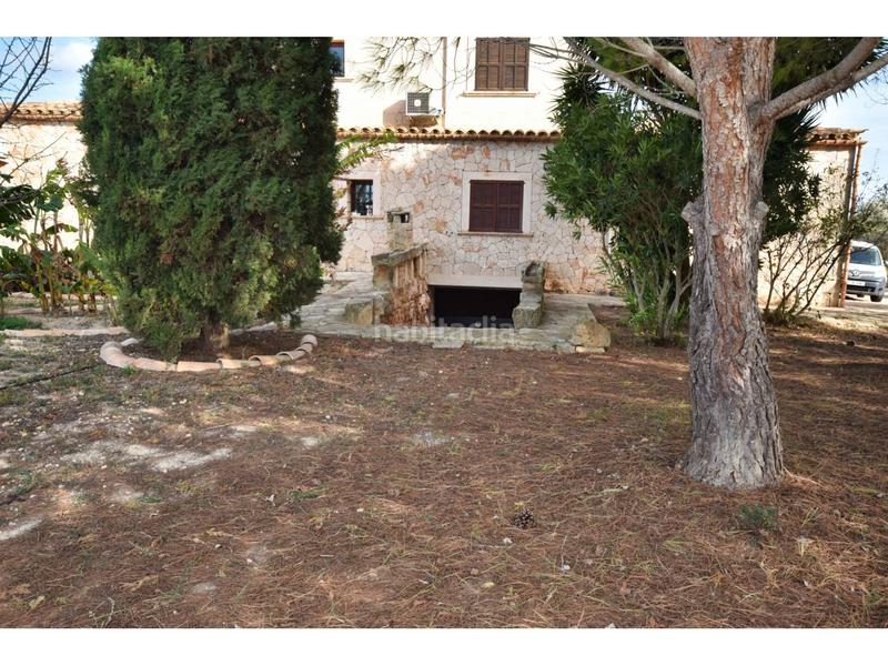 Foto 8e4bb682-df86-425f-a8d1-447cea699c79. Masia a 13 60 a Can Picafort Santa Margalida