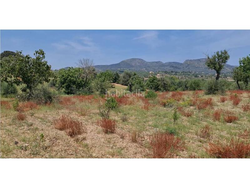 Foto 0a3ac185-fc0b-48a3-8935-fef9ac7df2c2. Finca rústica a 5 723 a Sant Llorenç des Cardassar