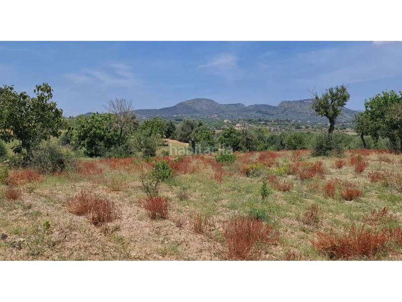 Foto 1ee899d1-9f15-4c60-b8da-e8d2e4833cee. Finca rústica a 5 723 a Sant Llorenç des Cardassar