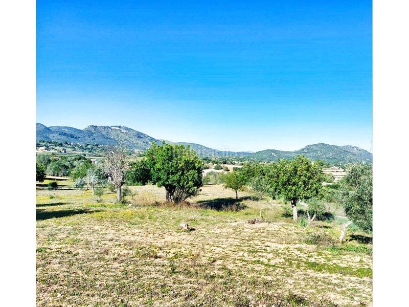 Foto 34d70f0e-413d-4e11-83f6-8e8d38fd9ad1. Finca rústica a 5 723 a Sant Llorenç des Cardassar