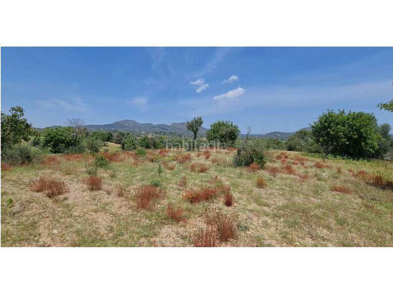 Foto 3d3de562-2c53-4952-9180-353a9a1b6077. Finca rústica a 5 723 a Sant Llorenç des Cardassar