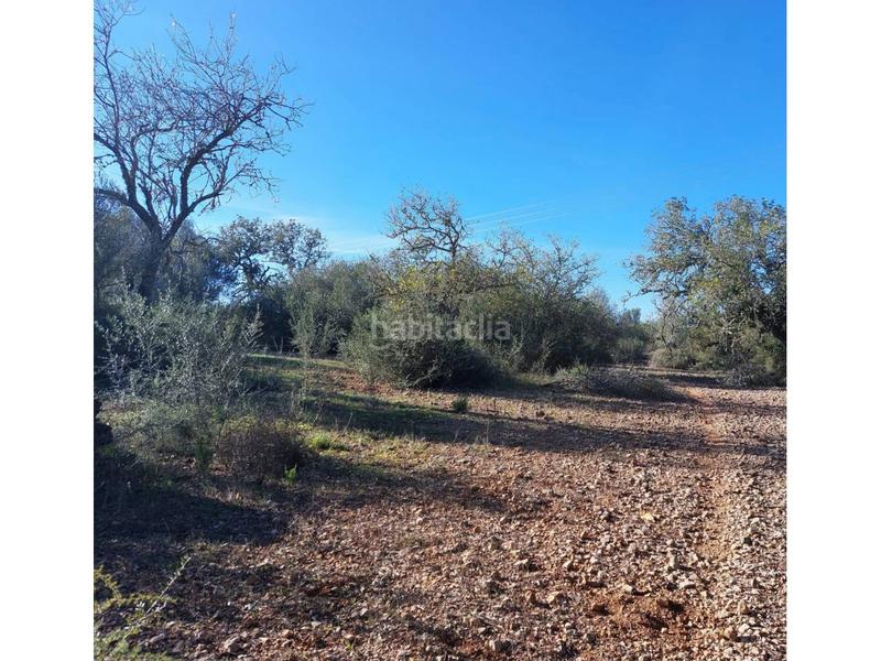 Foto 4e4301e2-3adf-42ff-b54a-63b3c195460d. Finca rústica a 5 723 a Sant Llorenç des Cardassar