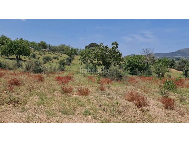 Foto 5bde493c-cd75-4e93-b662-76052864bd89. Finca rústica a 5 723 a Sant Llorenç des Cardassar