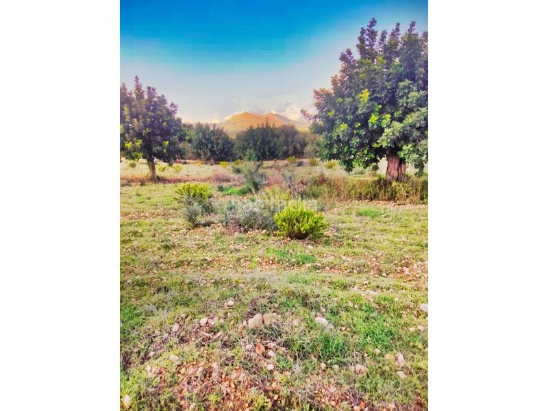 Foto 86a67420-1941-4109-a1d2-b152c417858d. Finca rústica a 5 723 a Sant Llorenç des Cardassar