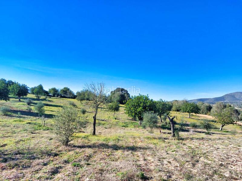 Foto 8a37cda0-3b6d-42d8-ab41-1a87ce3d6159. Finca rústica a 5 723 a Sant Llorenç des Cardassar