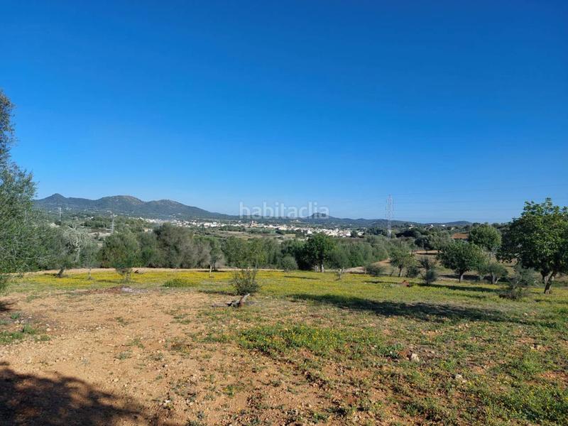 Foto 923af9f5-68a2-45a9-91b3-d3d9084d7566. Finca rústica a 5 723 a Sant Llorenç des Cardassar