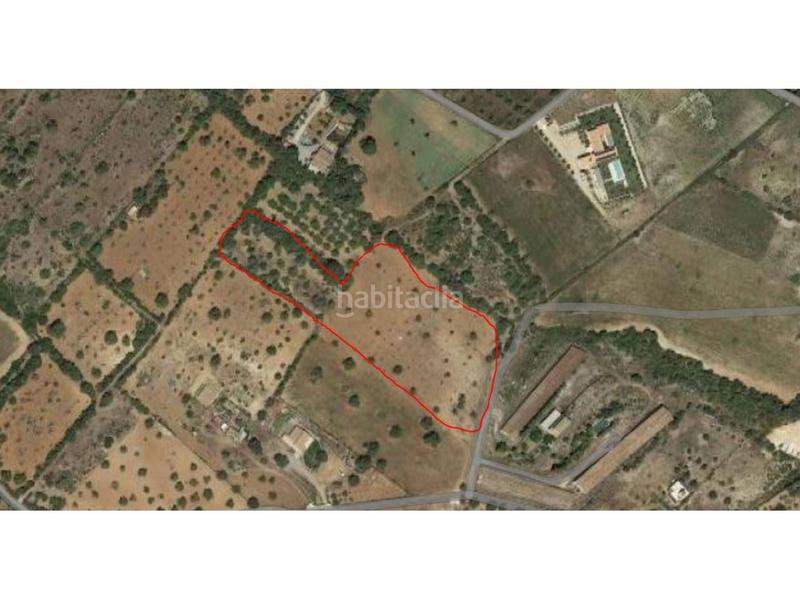 Foto ad87846d-6011-4ad8-9510-b883b10d9c40. Finca rústica a 5 723 a Sant Llorenç des Cardassar
