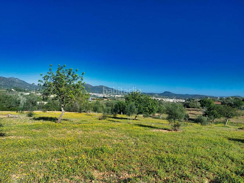 Foto af0bfdd6-0a01-45bf-9c0f-fc6c754da25f. Finca rústica a 5 723 a Sant Llorenç des Cardassar