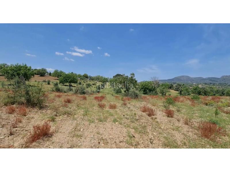 Foto c8748561-03eb-4897-a2cf-2bd9b180a65d. Finca rústica a 5 723 a Sant Llorenç des Cardassar