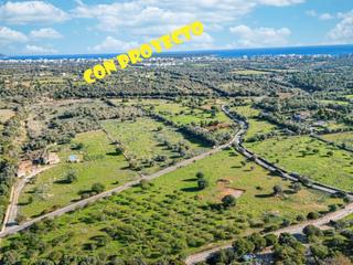 Finca rústica a 11 83. Finca rustica en venta en sillotcala morlanda