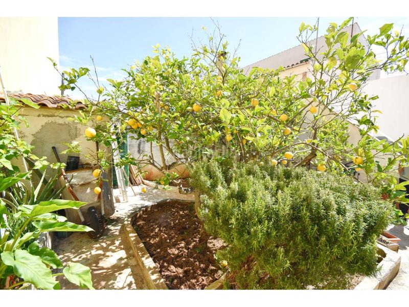 Foto 1940a132-2591-4b4c-b42a-766424304e71. Casa adossada a alba 17 a Capdepera poble Capdepera