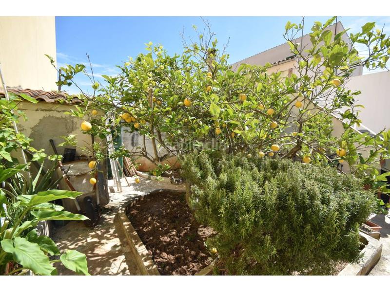 Foto 218729f2-8ce3-41e0-bb9a-c2b23c431743. Casa adossada a alba 17 a Capdepera poble Capdepera