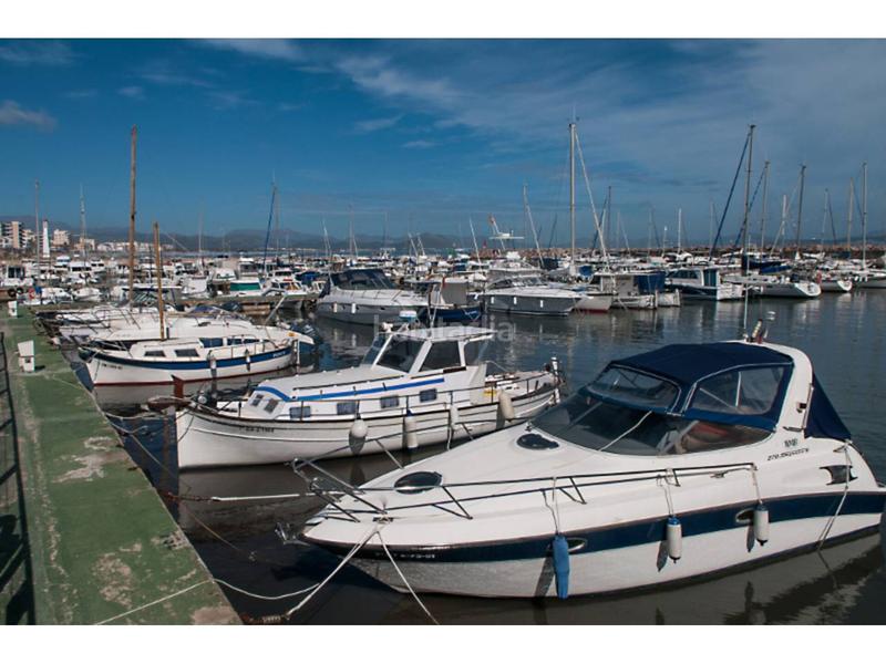 Foto edbe6b08-83b3-4074-8322-18b2e439c8c1. Finca rústica a 7 79 a Santa Margalida poble Santa Margalida