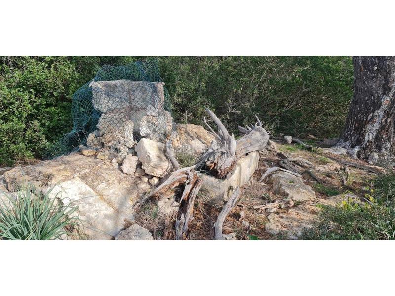 Foto f664996f-85d1-42df-83dd-6aa30b44501f. Finca rústica a 7 79 a Santa Margalida poble Santa Margalida