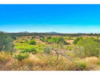 Mas à 7 127. Casa rustica pareada  en venta en santa margalida