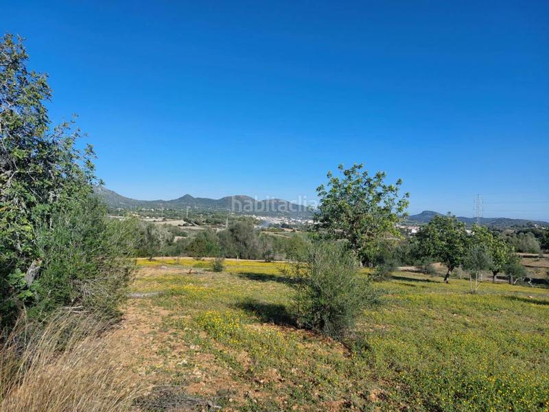 Foto 33d57bb1-a5a8-4ff3-8c22-a5b44595a79a. Finca rústica a 5 723 a Sant Llorenç des Cardassar