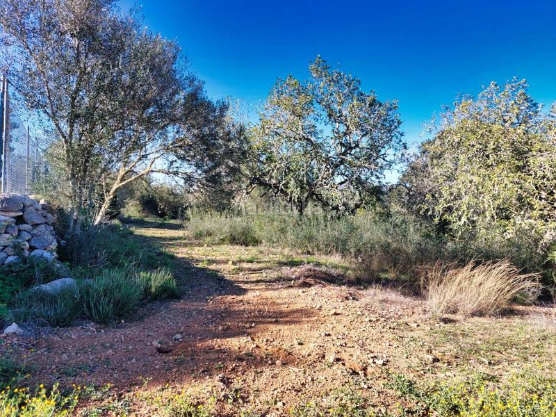 Foto 943825e2-a3fa-4e53-be37-e5c994f057c6. Finca rústica a 5 723 a Sant Llorenç des Cardassar